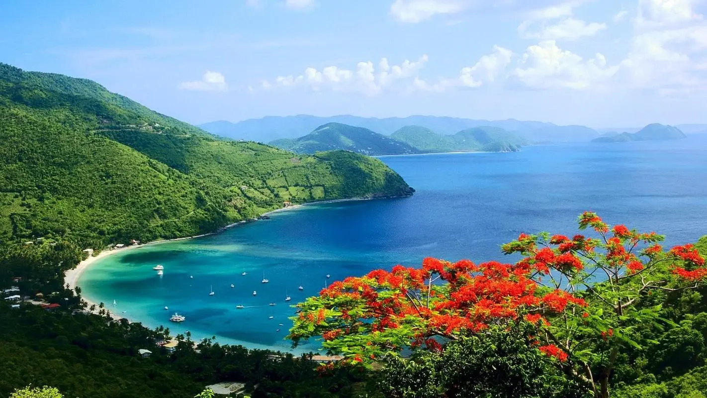 高质量高性能智能